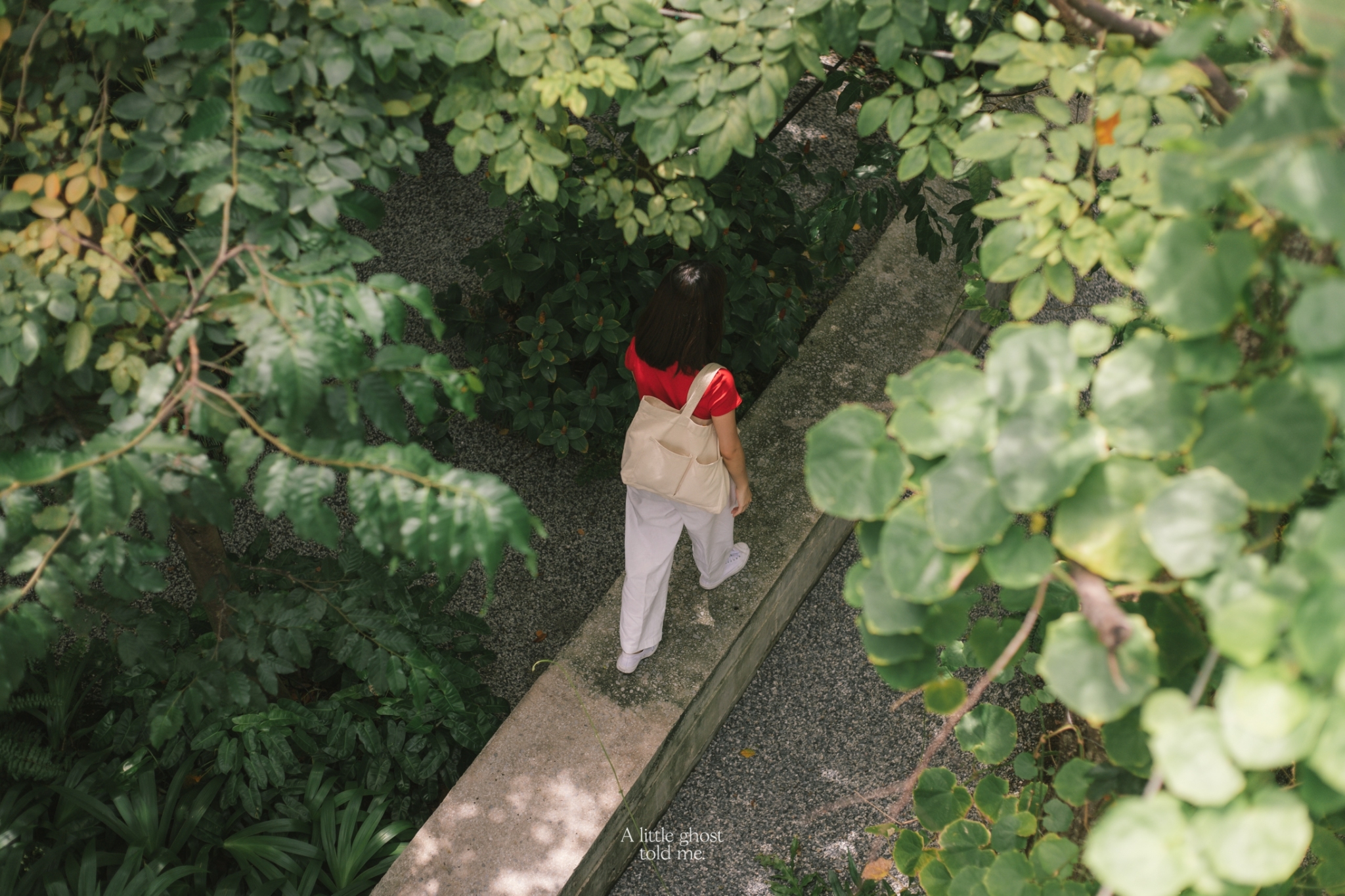 Forest for Rest at Dadfa Laselle